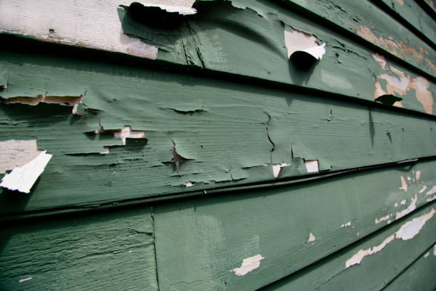 Best Moving and Downsizing Cleanouts  in Harwich Port, MA